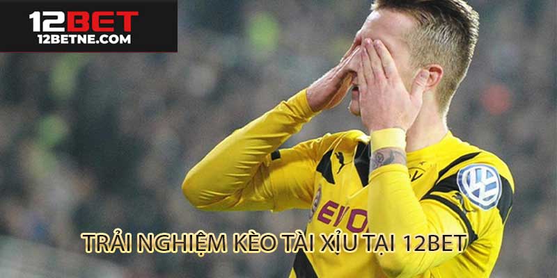 Trải nghiệm cá cược kèo Tài Xỉu 12Bet trên nền tảng trực tuyến
